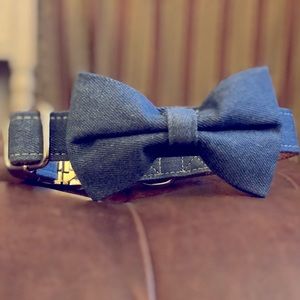 Dog Bow tie Collar
